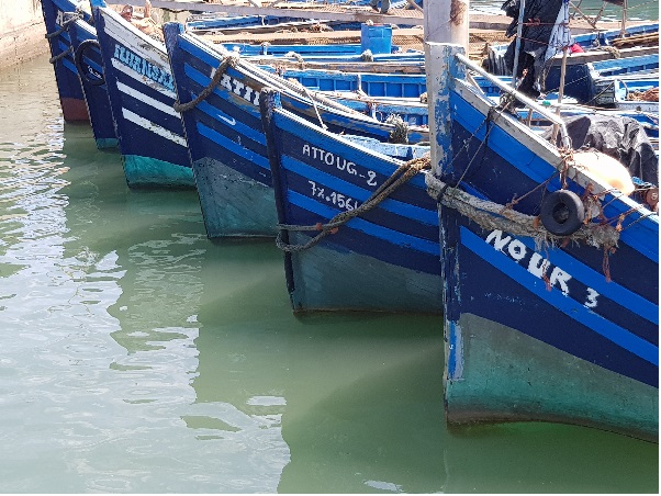 morocco digital nomad destination